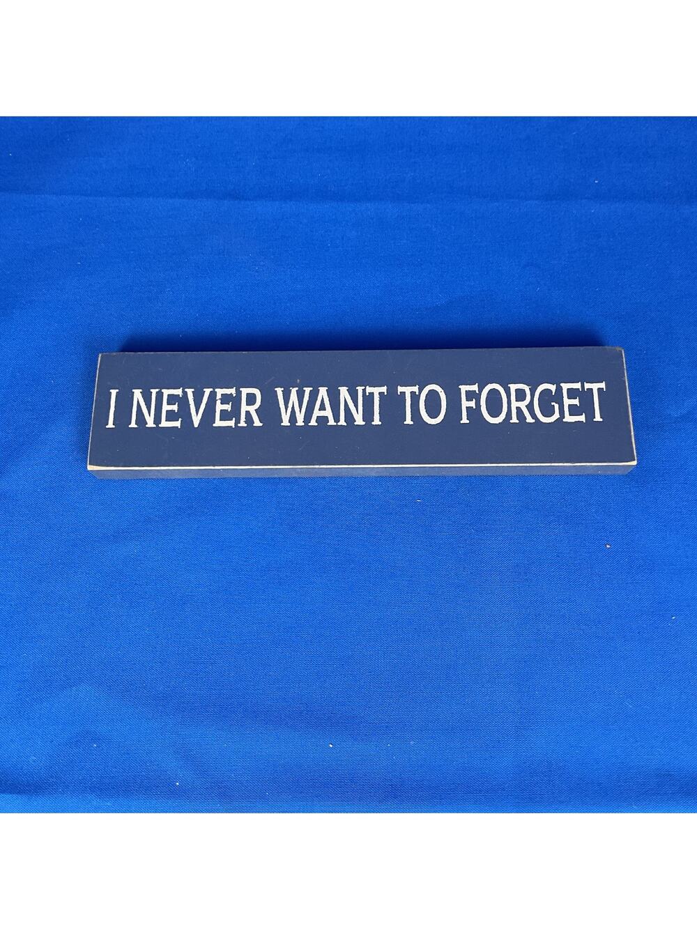 "I Never Want To Forget" Rustic Wooden Block Sign - Farmhouse Shelf Sitter